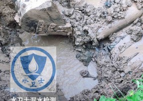 颍上县水管漏水检测公司5